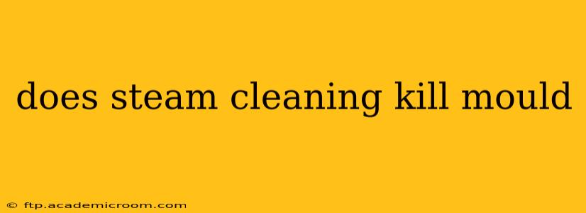 does steam cleaning kill mould