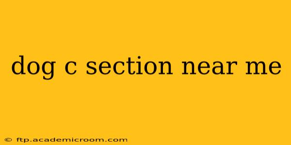 dog c section near me