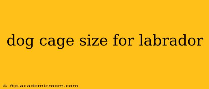 dog cage size for labrador