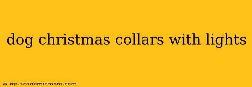 dog christmas collars with lights