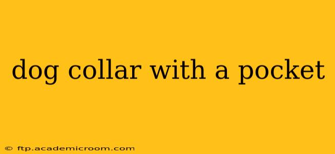 dog collar with a pocket