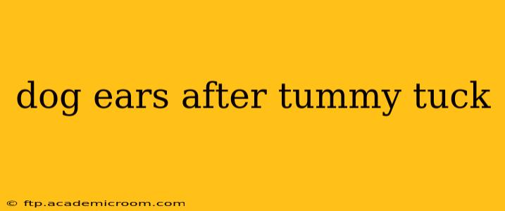 dog ears after tummy tuck