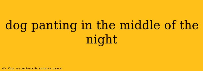 dog panting in the middle of the night