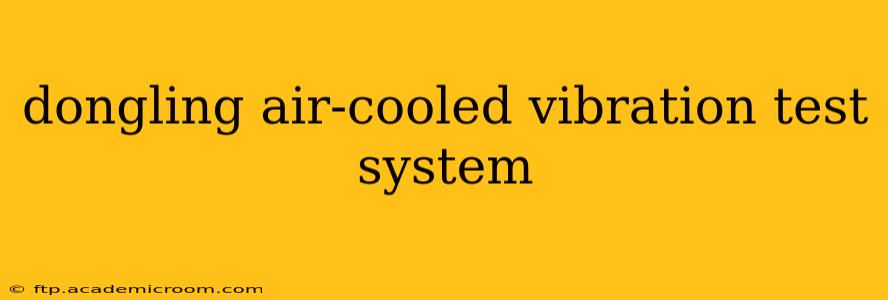 dongling air-cooled vibration test system