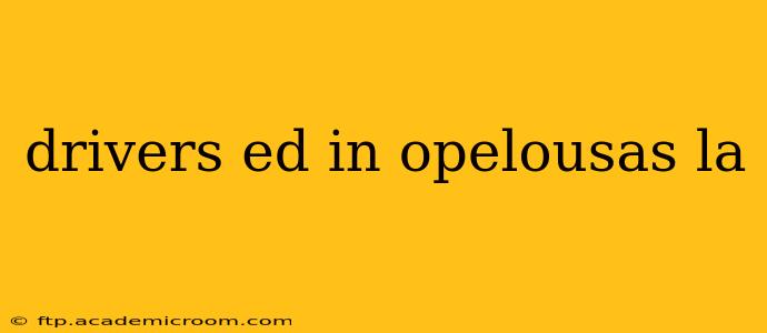 drivers ed in opelousas la