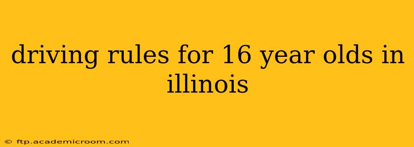 driving rules for 16 year olds in illinois