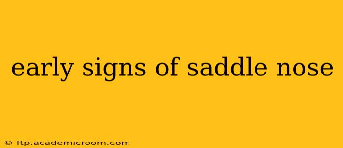early signs of saddle nose