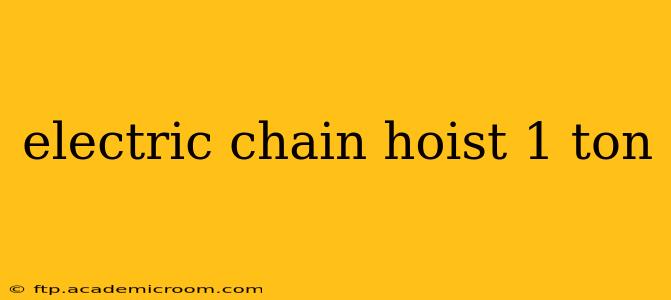electric chain hoist 1 ton