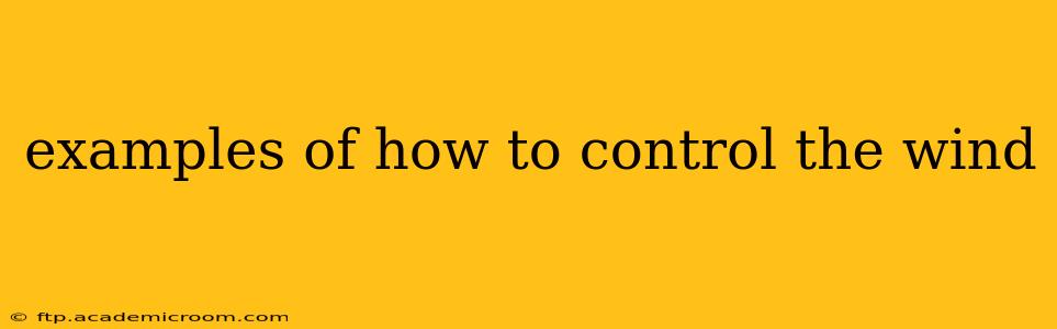 examples of how to control the wind