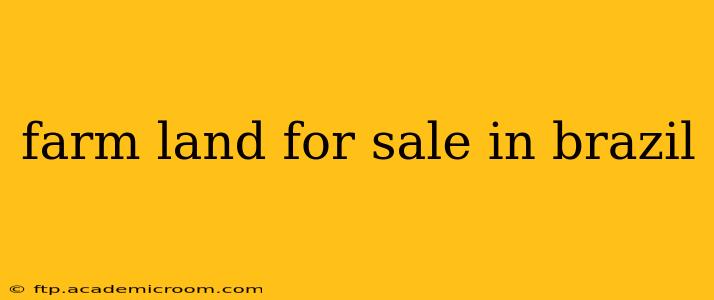 farm land for sale in brazil