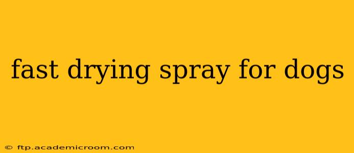 fast drying spray for dogs