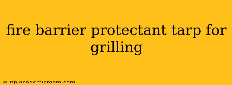 fire barrier protectant tarp for grilling