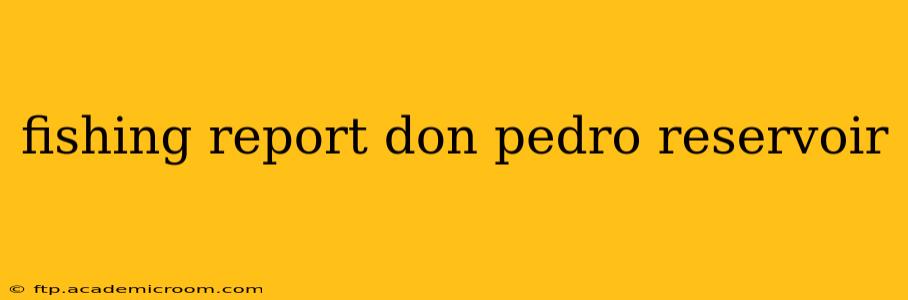 fishing report don pedro reservoir