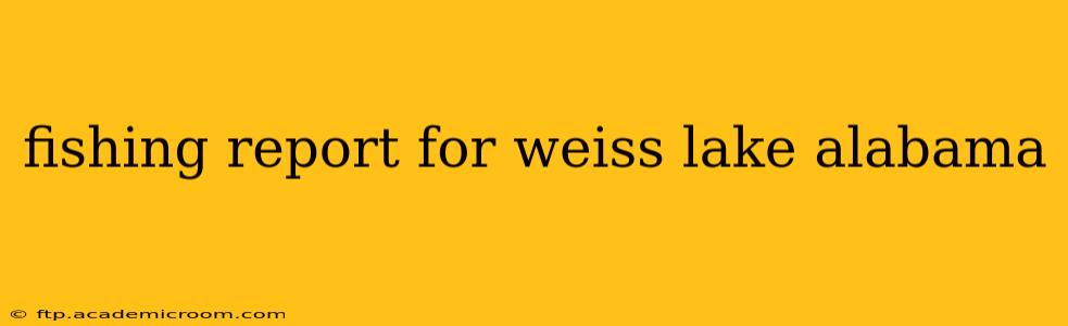 fishing report for weiss lake alabama