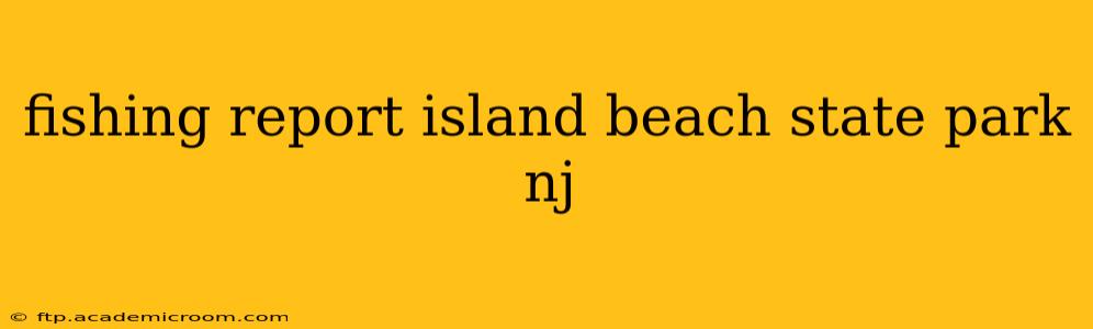 fishing report island beach state park nj