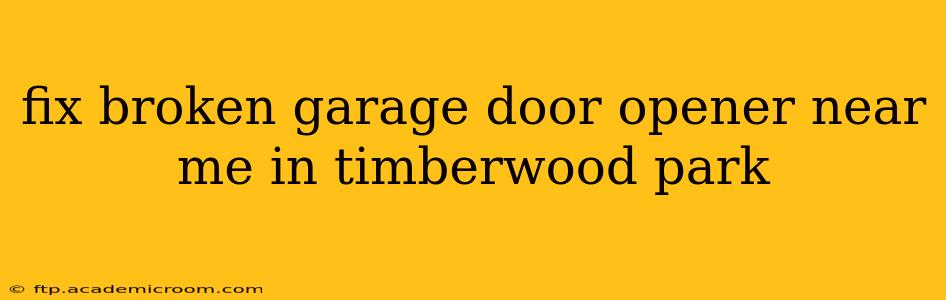 fix broken garage door opener near me in timberwood park
