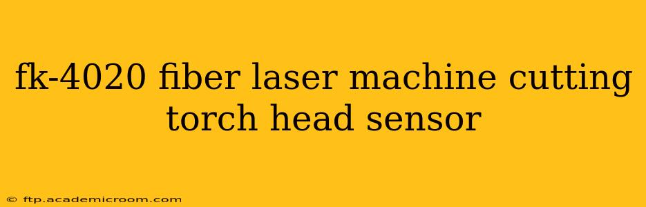 fk-4020 fiber laser machine cutting torch head sensor