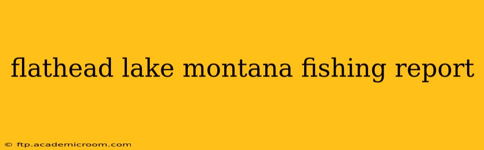 flathead lake montana fishing report