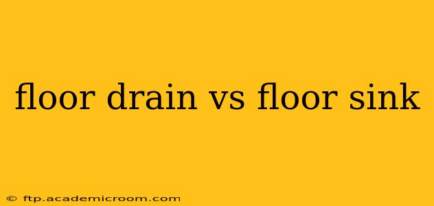 floor drain vs floor sink