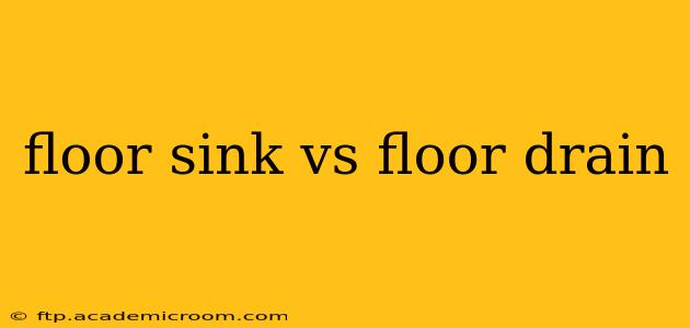floor sink vs floor drain