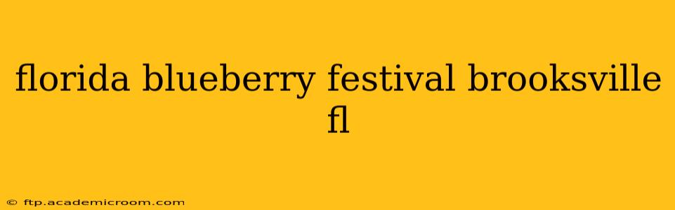 florida blueberry festival brooksville fl