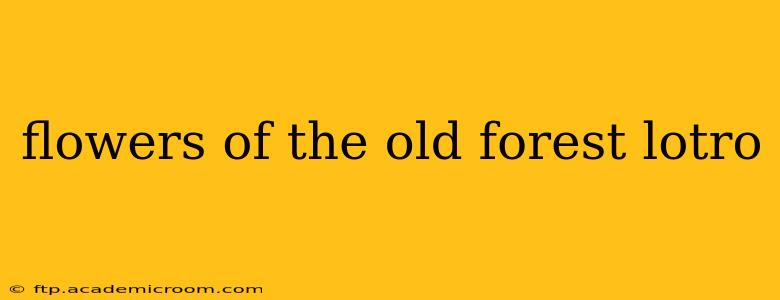 flowers of the old forest lotro