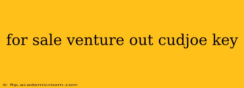 for sale venture out cudjoe key