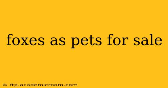 foxes as pets for sale
