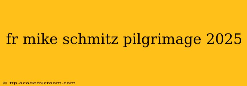 fr mike schmitz pilgrimage 2025