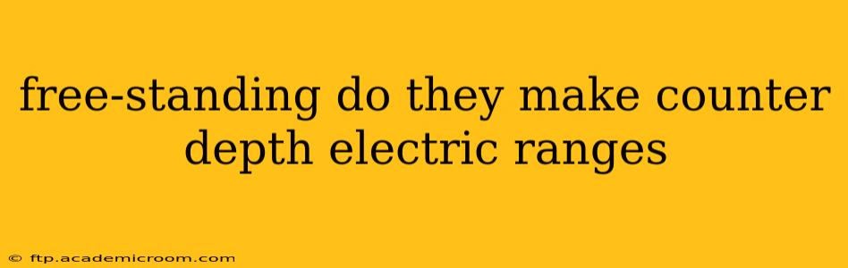 free-standing do they make counter depth electric ranges
