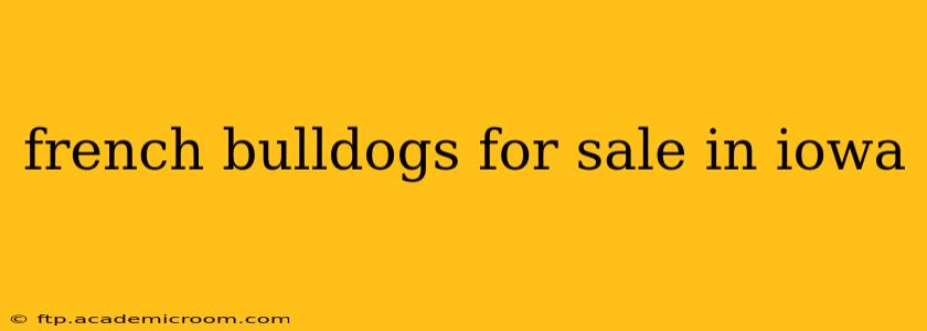french bulldogs for sale in iowa