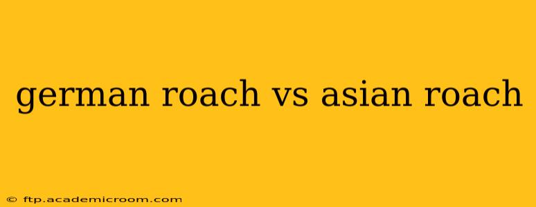german roach vs asian roach