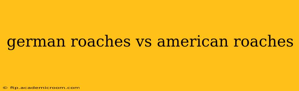german roaches vs american roaches
