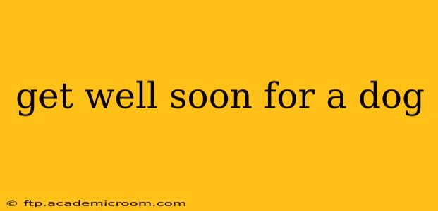 get well soon for a dog