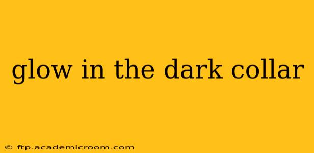 glow in the dark collar