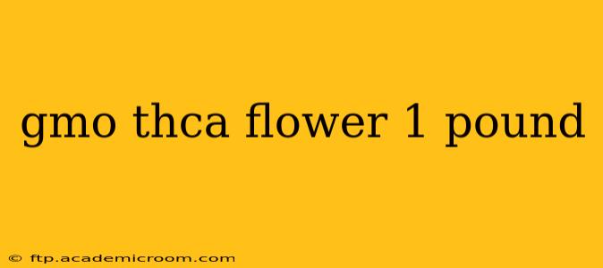 gmo thca flower 1 pound