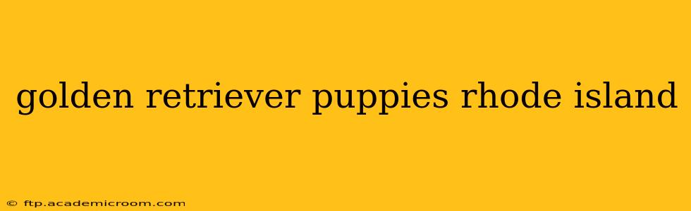 golden retriever puppies rhode island