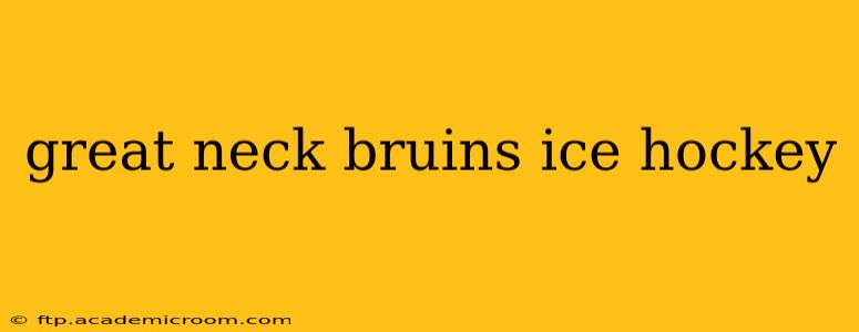 great neck bruins ice hockey