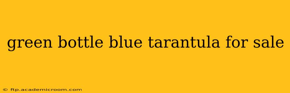 green bottle blue tarantula for sale