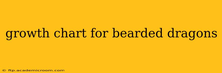growth chart for bearded dragons