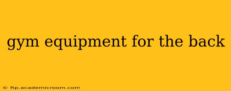 gym equipment for the back