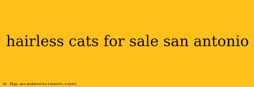 hairless cats for sale san antonio