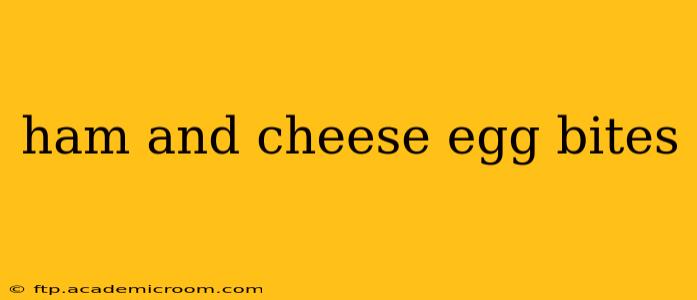 ham and cheese egg bites