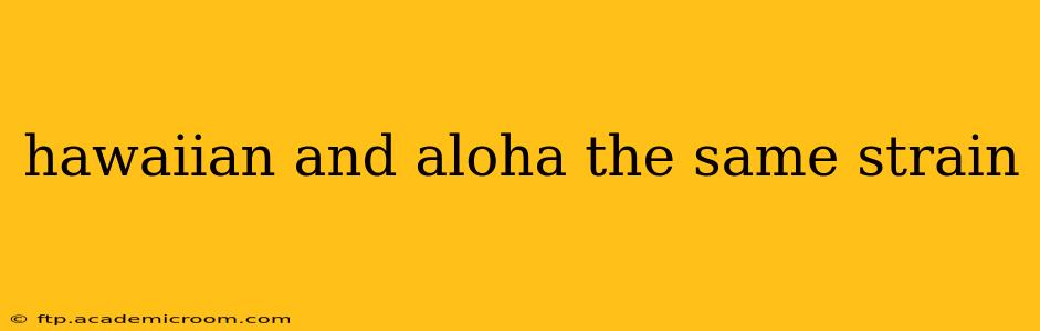 hawaiian and aloha the same strain