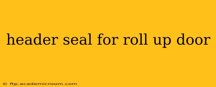 header seal for roll up door