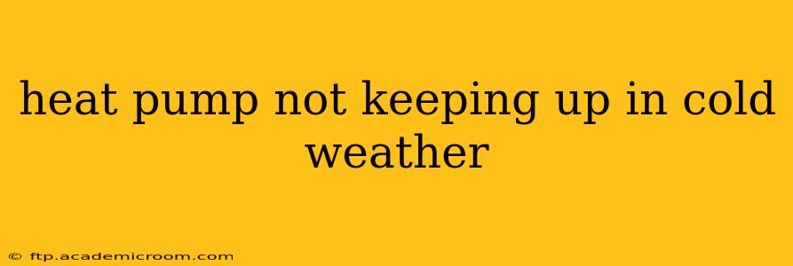 heat pump not keeping up in cold weather