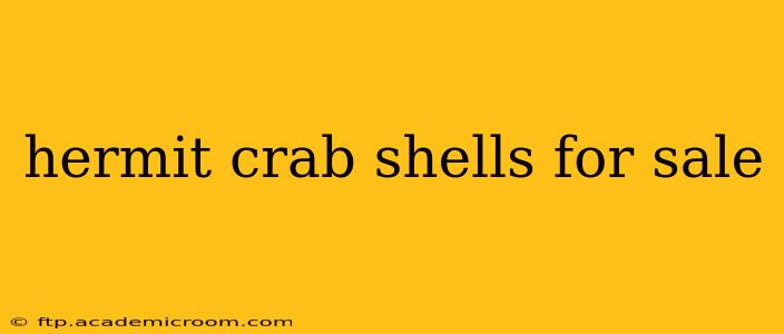 hermit crab shells for sale