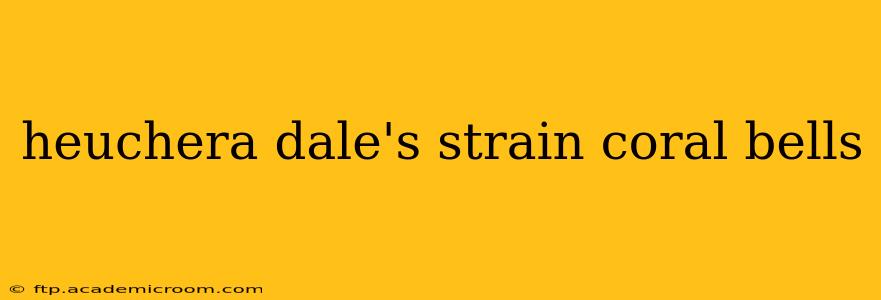 heuchera dale's strain coral bells