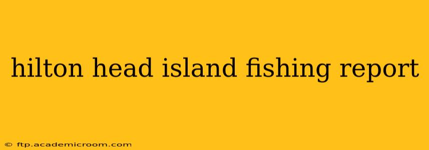 hilton head island fishing report