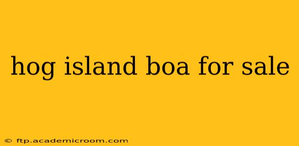 hog island boa for sale